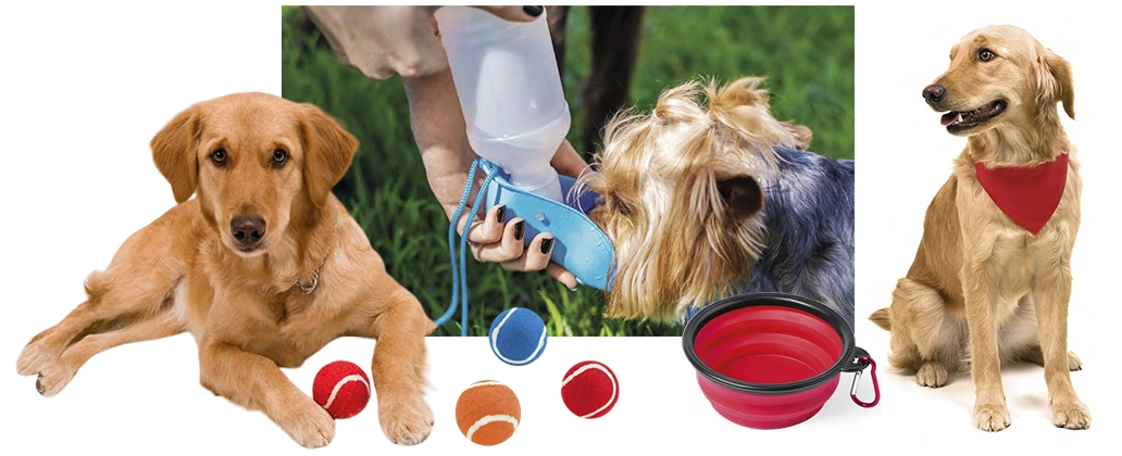 mascotas-header